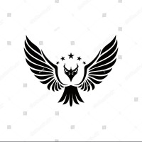 EAGLE EYE ENTERPRISES