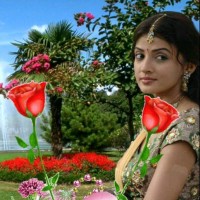 Rishi Dhanawat