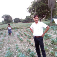 Rama Shankar