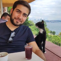 Hasan Ertenlice