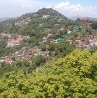 Vijay Kaushal