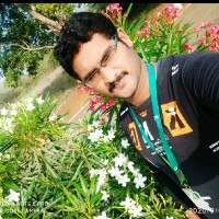 Vignesh Pachaiyappan