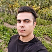 Behzad Najafi