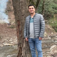 Hassan Arab