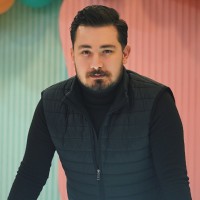 Mohammad Naser Hamidi