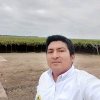 Irving Davier Gómez Gallardo
