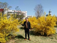 陈建东