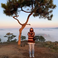 Phạm Hồ Mai Trâm