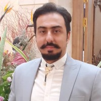 vahid ebrahimzadeh