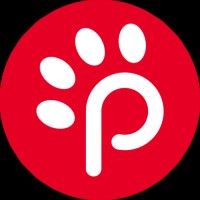 Animal Pin