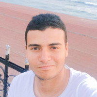 Ahmed Ali