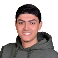 Youssef Elshanawany