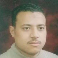 Hany Hawash