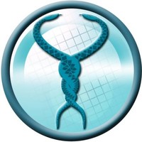 Sayan Orthopaedics