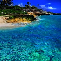 EFC CONTRACT RETAIL - GLOBAL SERVICE