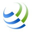 Blusurge Inc