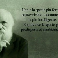 Danieli Tiziano