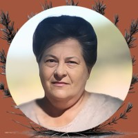 Karin Foster