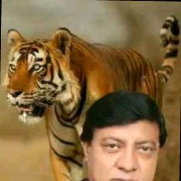 ठाकुर सूरज भान सिंह