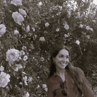 Carmen Toledano Medina
