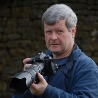 David McGill