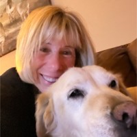Stacey Cohen