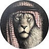 علاء الصالح