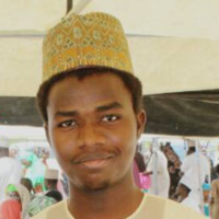 Ammar Auwal Bashir