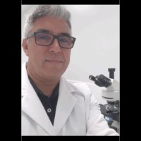 Antonio Fernández Somoza