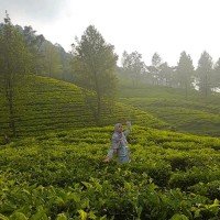 Dede Ika Septianti