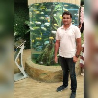 Niranjan B