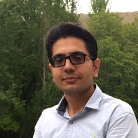 Sayyed Mehrdad Hosseini