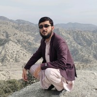 Walishah Ahmadi