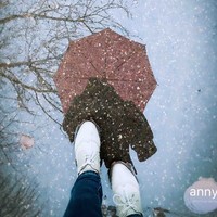 Zhao Anny