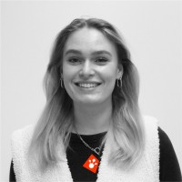 Doortje Wilbrink