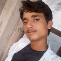Lala Meena Todabhim Brijesh Meena Todabhim