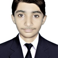 HAMID NADEEM