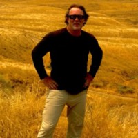 Terry Moshenberg