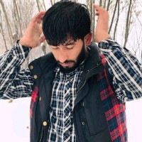 sayed Shekib