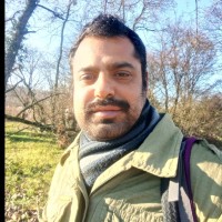 Rohit Sareen