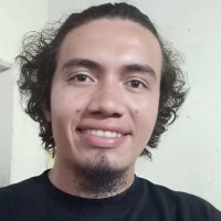 Lucas M Teixeira