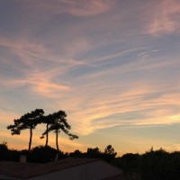 Atlantic Hôtel Oléron