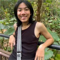 Anh Duc Nguyen