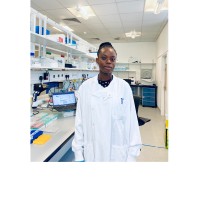 Adefolake Bankole, Phd