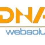 SEO Expertdnaweb