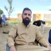 Saad Mughal