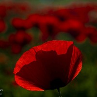 A Ebrahimi