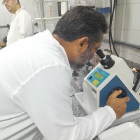 Alexandre Cosmo