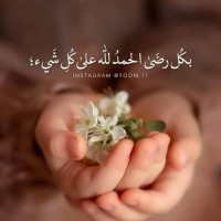 Eman Badr