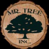 MrTree Services